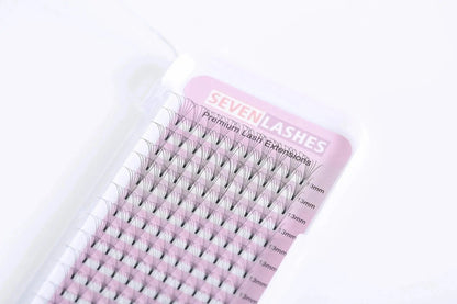 Sevenlashes 6D Premade Fan Short Stem 6D Premade Fan Short Stem