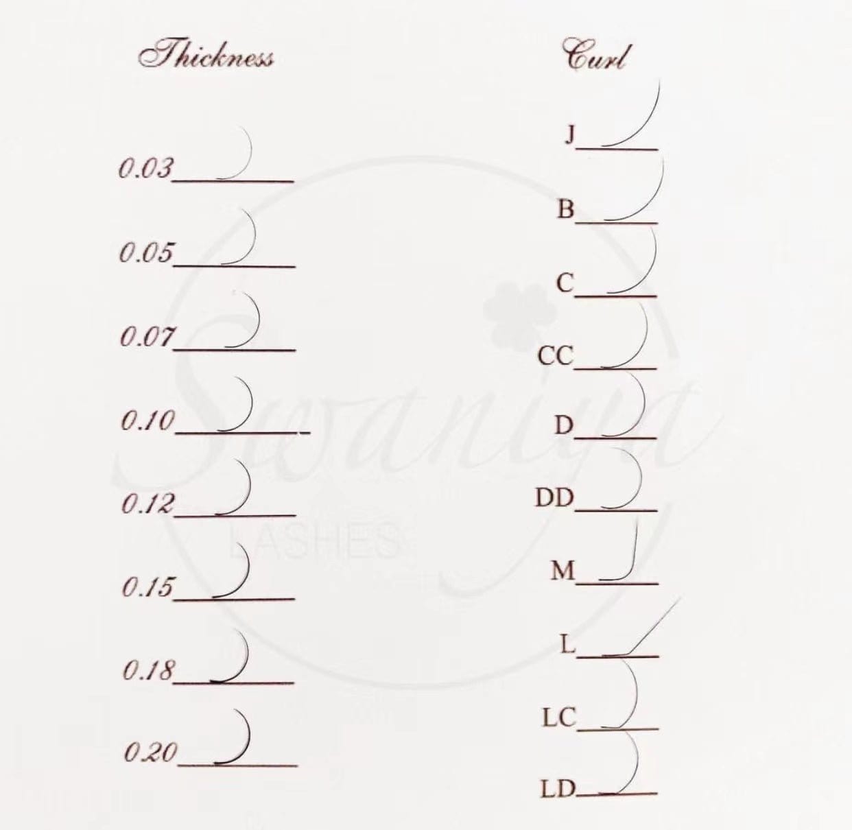 Sevenlashes Free  Lashes Sample Free Lashes Sample* Sample Order Free Lashes Sample*