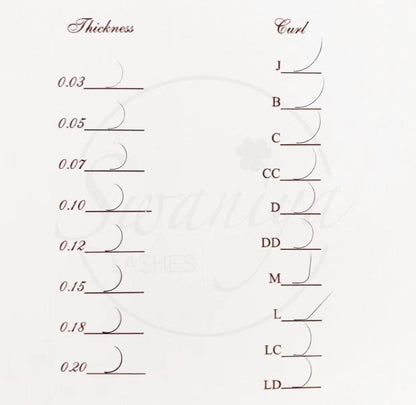 Sevenlashes Free  Lashes Sample Free Lashes Sample* Sample Order Free Lashes Sample*